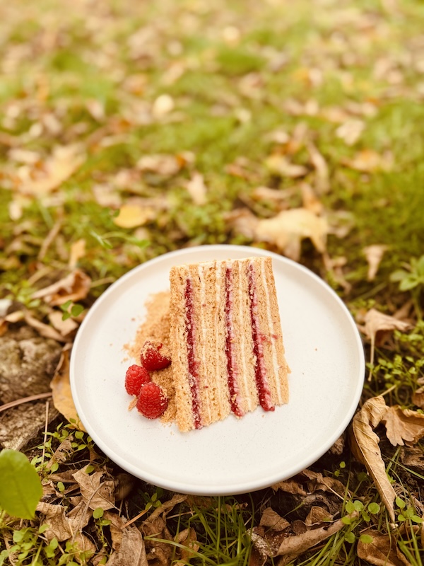 Medovik malina na travi Medovik malina na travi